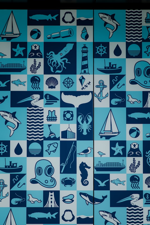 Sea Animal Wall Decals for Small Rooms: Creating Depth Without Covering Every Wall