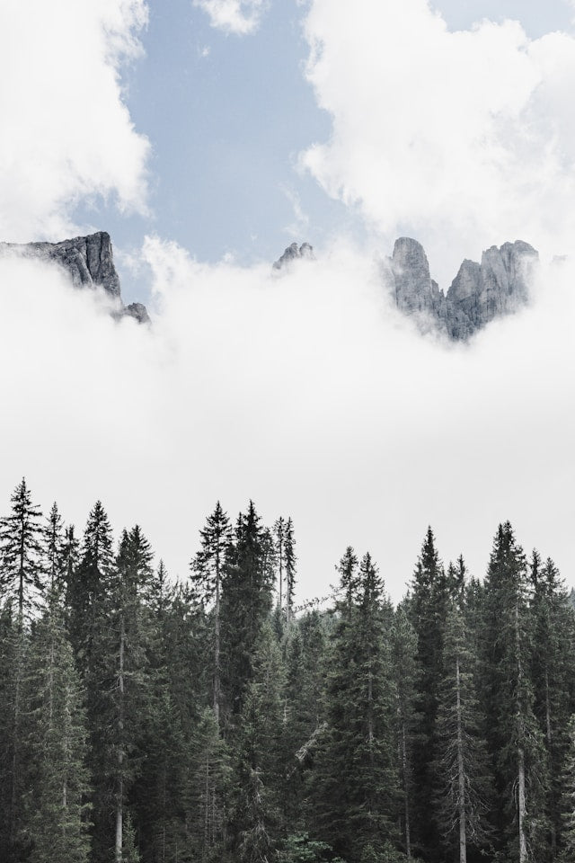 Mountain Forest Wall Decals: Creating a Calm Nursery Scene with Trees, Animals, and Clouds
