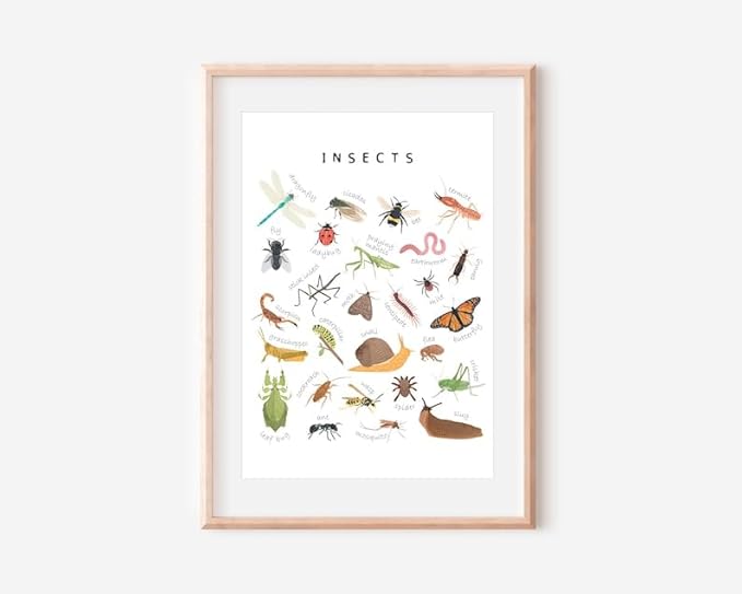 OZCONO Educational Insects Poster, Bugs Learning Chart Kids, Classroom Wall Decor Art, Montessori Homeschool Aid (Unframed) (24x36)