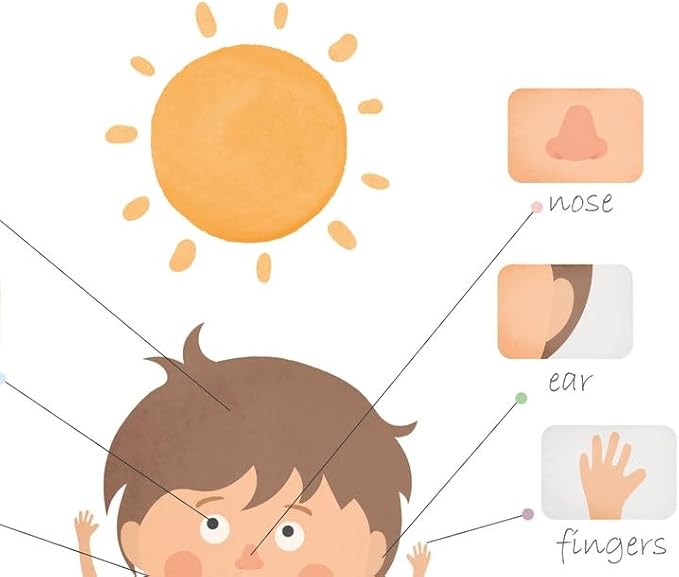 OZCONO Body Parts Poster for Kids Learning, Educational Classroom Wall Chart for Preschool, Toddler, Montessori Nursery Teaching Resource (Unframed) (12x18)