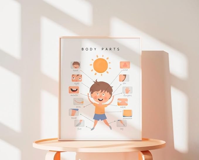 OZCONO Body Parts Poster for Kids Learning, Educational Classroom Wall Chart for Preschool, Toddler, Montessori Nursery Teaching Resource (Unframed) (24x36)