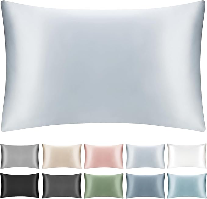 100% Mulberry Silk Pillowcase with Hidden Zipper,Both Sides Pure Silk Breathable Pillow Case for Hair and Skin,19 Momme Grade 6A,1pc,Light Blue,Queen Size 20x30 Inches