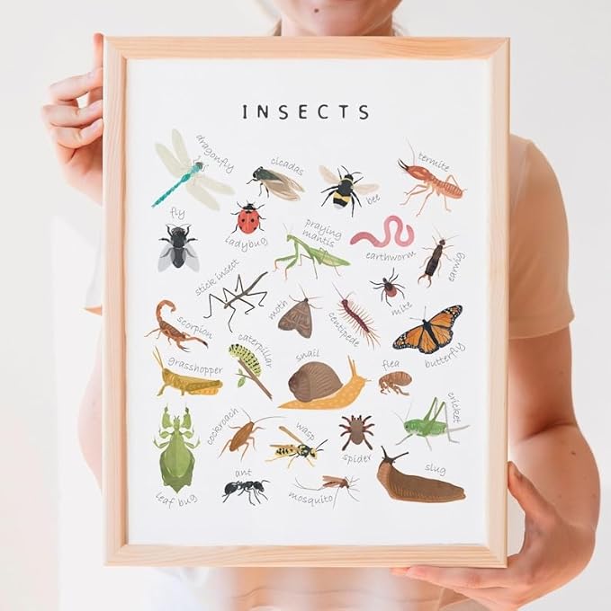 OZCONO Educational Insects Poster, Bugs Learning Chart Kids, Classroom Wall Decor Art, Montessori Homeschool Aid (Unframed) (9x11)