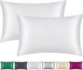 100% Mulberry Silk Pillowcase 2 Pack for Hair and Skin,with Hidden Zipper,Both Sides 22 Momme Natural Silk Pillow Cover,Soft Breathable & Smooth (White, Queen)