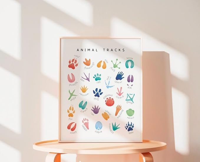 OZCONO Animal Tracks Learning Poster, Vibrant Wildlife Chart Kids, Preschool Wall Decor Art, Homeschool Education Guide (Unframed) (9x11)