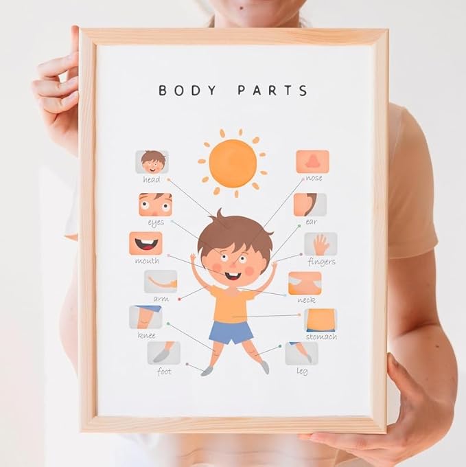 OZCONO Body Parts Poster for Kids Learning, Educational Classroom Wall Chart for Preschool, Toddler, Montessori Nursery Teaching Resource (Unframed) (16x24)