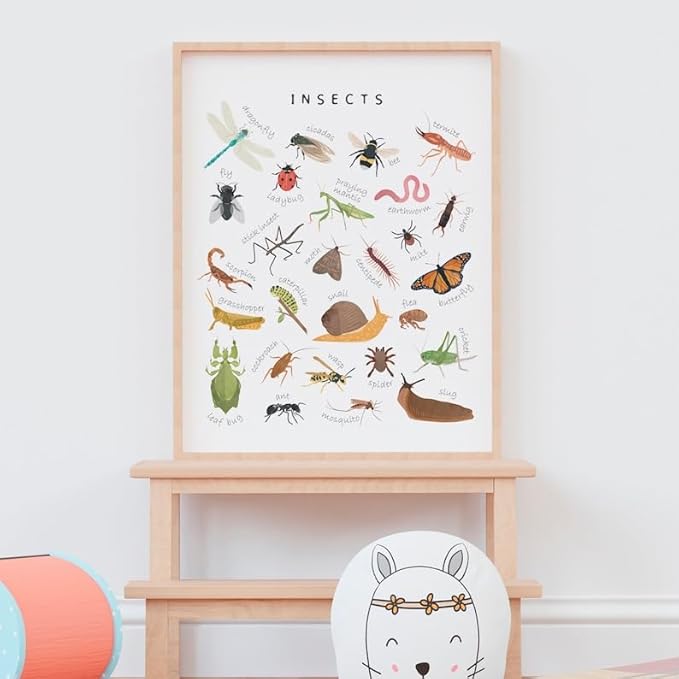 OZCONO Educational Insects Poster, Bugs Learning Chart Kids, Classroom Wall Decor Art, Montessori Homeschool Aid (Unframed) (24x36)