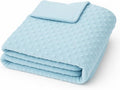 Threadart Minky Baby Blanket, 28" x 38", Light Blue Double-Sided Smooth + Dot, Ultra Soft, Newborn and Toddler, Machine Washable