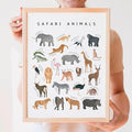 OZCONO Safari Animals Poster, Educational Jungle Chart for Kids, Playful Nursery Wall Decor, Montessori Learning, Homeschool Wildlife (Unframed) (9x11)