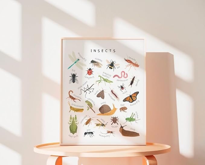 OZCONO Educational Insects Poster, Bugs Learning Chart Kids, Classroom Wall Decor Art, Montessori Homeschool Aid (Unframed) (11x14)
