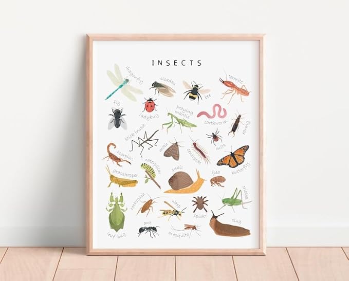 OZCONO Educational Insects Poster, Bugs Learning Chart Kids, Classroom Wall Decor Art, Montessori Homeschool Aid (Unframed) (20x30)