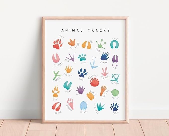 OZCONO Animal Tracks Learning Poster, Vibrant Wildlife Chart Kids, Preschool Wall Decor Art, Homeschool Education Guide (Unframed) (16x24)