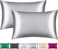 100% Mulberry Silk Pillowcase 2 Pack for Hair and Skin,with Hidden Zipper,Both Sides 22 Momme Natural Silk Pillow Cover,Soft Breathable & Smooth (Gray, Queen)
