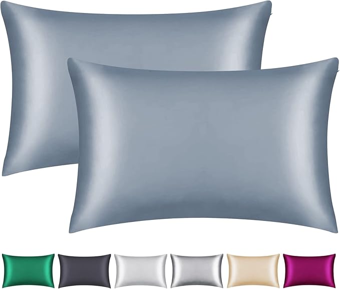 100% Mulberry Silk Pillowcase 2 Pack for Hair and Skin,with Hidden Zipper,Both Sides 22 Momme Natural Silk Pillow Cover,Soft Breathable & Smooth (Air Blue, Standard)