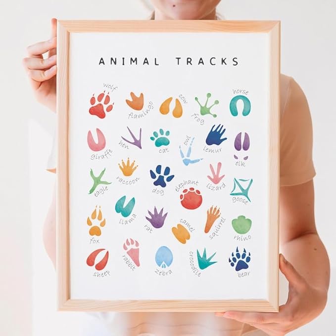 OZCONO Animal Tracks Learning Poster, Vibrant Wildlife Chart Kids, Preschool Wall Decor Art, Homeschool Education Guide (Unframed) (12x18)