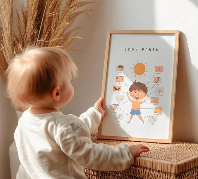 OZCONO Body Parts Poster for Kids Learning, Educational Classroom Wall Chart for Preschool, Toddler, Montessori Nursery Teaching Resource (Unframed) (20x30)