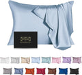 Mulberry Silk Pillowcase for Hair and Skin,Cooling Silk Pillow Case with Hidden Zipper,Allergen Proof Dual Sides Soft Breathable Smooth Silk Pillow Cover for Women (Light Blue,Standard)