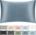 100% Mulberry Silk Pillowcase with Hidden Zipper,Both Sides Pure Silk Breathable Pillow Case for Hair and Skin,19 Momme Grade 6A,1pc,Ash Blue,Queen Size 20x30 Inches