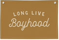 Long Live Boyhood Orange Fall Banner Boy Room Decor,Banner Flag Nursery Playroom Wall Decor for Boys Bedroom Living Room Dorm Toddler Decorations for Kid Banner Wall Hanging Flag Linen Banner 30x20