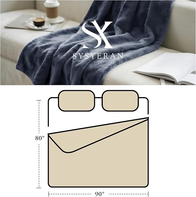 Plush Velvet Fleece Bed Blanket, Lightweight Queen Size Blanket, Soft Fuzzy Cozy Blanket for Couch (Haze Blue, Queen)