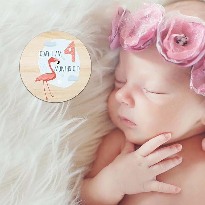 Baby Monthly Milestone Cards for Newborn Girl or Boy,Safari Monthly Baby Milestone Cards Baby Anniversary Signs,Baby Shower Cards Come with Organza Gift Bag (Milestone Wooden Circles)