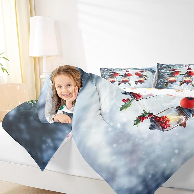 Feelyou Merry Christmas Comforter Set All Season Robin Bird Bedding Set with 1 Pillow Cases Snowflake Microfiber Kids Toddler Bedclothes Winter Bedroom Decor Duvet Quilt Breathable Soft Lightweight