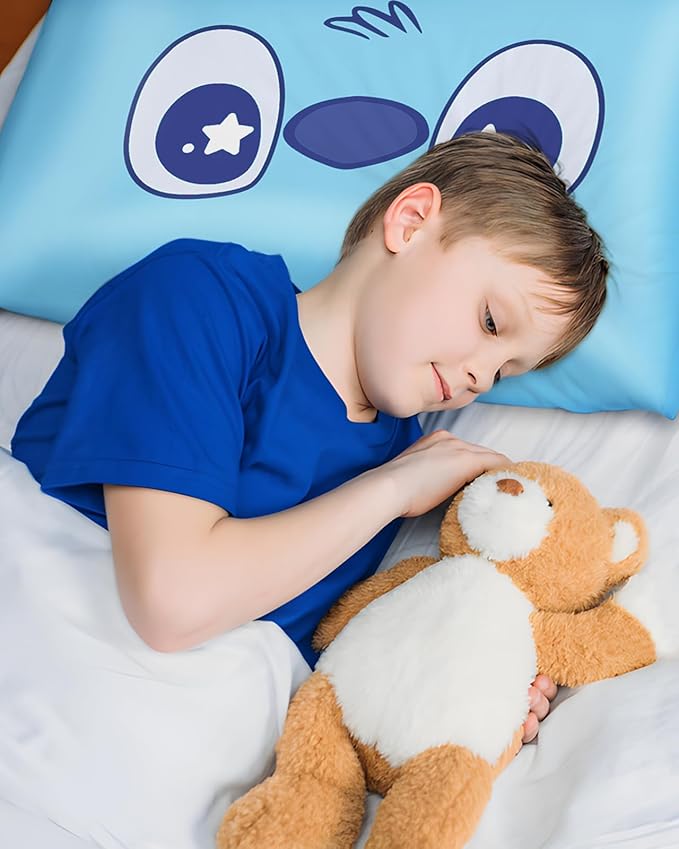 Silk Pillowcase for Kids - 30 x 20 Inches Queen Size Mulberry Silk Pillow Case with Zipper Cute Cartoon Kawaii Teens Girls Boys Pillowcase for Hair and Skin, Blue Eye
