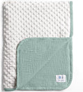 lulumoon Baby Blanket for Newborn Boy: Soft Minky Dotted Backing - Perfect Muslin Stroller Blanket for Travel & Baby Shower 30"x40"（Sage）