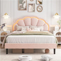 HIFIT Queen Upholstered Smart LED Bed Frame with Adjustable Chic Petal Headboard, Soft Princess Queen Size Platform Bed Frame for Girls, Wooden Slats Support, No Box Spring Needed, Easy Assembly, Pink