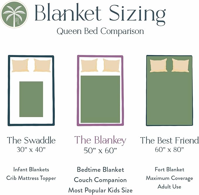 Personalized Dinosaur Blanket for Kids, Ships Next Day - Dino Throw Blanket for Boys and Girls, Toddler Bed, Room & Bedroom Decor - Educational Blankets for Children - USA Based (60x80, Sherpa)