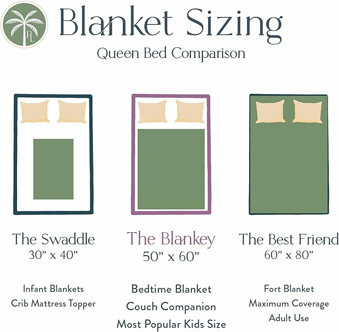 Personalized Dinosaur Blanket for Kids, Ships Next Day - Dino Throw Blanket for Boys and Girls, Toddler Bed, Room & Bedroom Decor - Educational Blankets for Children - USA Based (50x60, Sherpa)