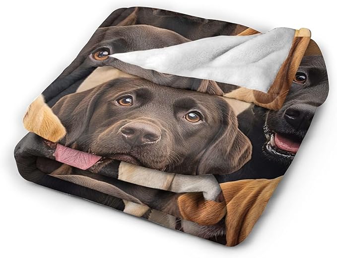 Labrador Retriever Blanket for Girls Boys Chocolate Lab Throw Blankets Soft Cozy Warm Fuzzy Fleece Bedding Flannel Dog Throws Stuffed Animal Gifts for Lovers Kids Men Women Bedroom Decor 50"x40"
