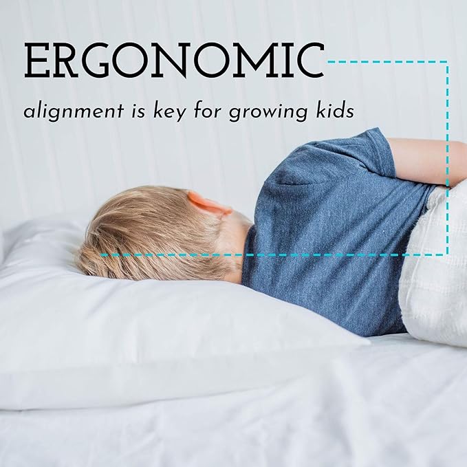 Little Sleepy Head Youth Pillow, 16x22 inch, Jumbo Toddler Pillow with Hypoallergenic Pillowcase - Perfect Travel Pillow (Rainbows)