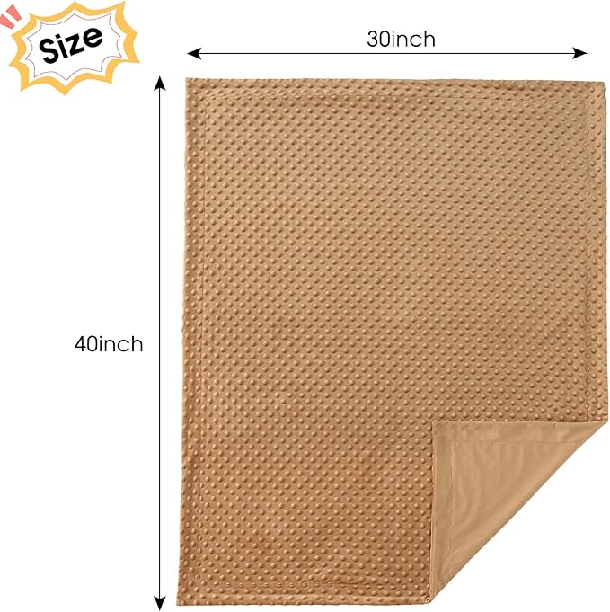 david's kids Micro Fleece Minky Baby Blanket for Boys Girls Neutral with Double Layer and Soothing Raised Dots, Breathable and Soft Lightweight Receiving Blanket for Newborns 30x40 Inches, Biscuit