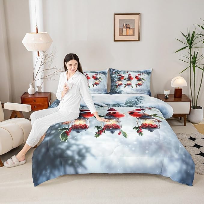 Feelyou Merry Christmas Comforter Set All Season Robin Bird Bedding Set with 2 Pillow Cases Snowflake Microfiber Kids Full Bedclothes Winter Bedroom Decor Duvet Quilt Breathable Soft Lightweight