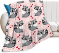 Tijuboni Pink Raccoon Throw Blanket Raccoon Gifts for Girls Boys Women Men Kids Adults Soft Flannel Fleece Blanket for Couch Sofa Bed Home Decor 40"x50"
