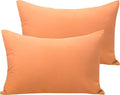 NTBAY Microfiber Toddler Pillowcases with Envelope Closure, 2 Pack 100% Brushed Microfiber Super Soft Travel Kids Nursery Pillow Cases, 14"x20" Fits Pillows Sized 12"x16" 13"x18" 14"x19", Tan