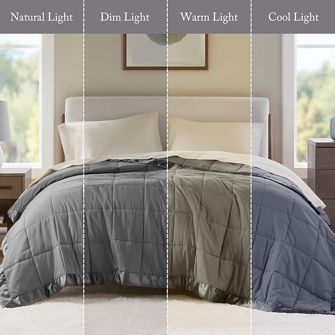 Madison Park Windom Down Alternative Blanket, Premium 3M Scotchgard Moisture Wicking Treatment, Lightweight and Soft Bed Cover For All Season, Satin Trim, Charcoal Twin