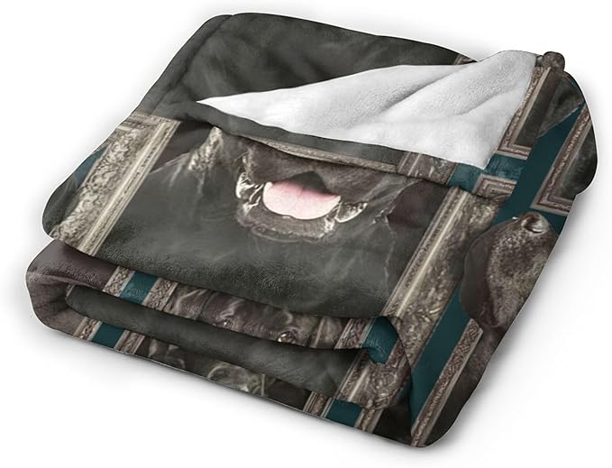 Labrador Retriever Dog Blanket Gifts and Decor - Cute Throw for Girls, Women, Kids, Adults - Soft Warm Cozy Fleece for Couch, Sofa, Bed 50"x40"