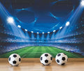 Soccer Stadium Wallpaper Mural Large Art Wall Background Painting for Soccer Hall Bedroom Living Room