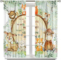 Kids Safari Animal Curtains Cute Watercolor Wildlife Jungle Window Treatments for Boys Girls Bedroom Inspirational Motivational Quotes Nursery Children Drapes for Living Room W63xL63