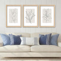 YWJKWLGS Neutral Botanical Prints Framed Wall Art Decor 11x16 Inch Set of 3 Boho Plant pictures Sign minimalist Vintage for Bedroom Office bathroom Wall Hanging (Wood)