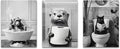 Framed Black and White Bathroom Wall Decor, Funny Animals Canvas Wall Art, Cute Otter Holding A Roll of Toilet Paper, Chimpanzee in Bathtub and Cat Reading Newspaper on the Toilet Pictures 16'' x 12''