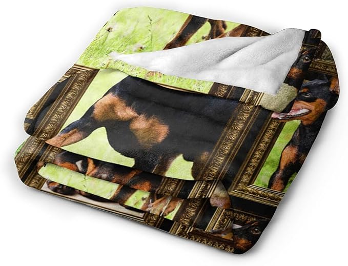 Cute Doberman Blanket for Girls Boys Doberman Pinscher Dog Throw Blankets Soft Cozy Warm Fuzzy Fleece Funny Puppy Bedding Flannel Throws Stuffed Animal Gifts for Kids Men Women Bedroom Decor 50"x40"