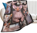 Sphynx Cat Gifts & Decor - Cute Throw Blanket for Girls, Women, Kids & Adults - Soft, Warm, Cozy Fleece Blanket for Couch, Sofa, Bed - 80"x60"