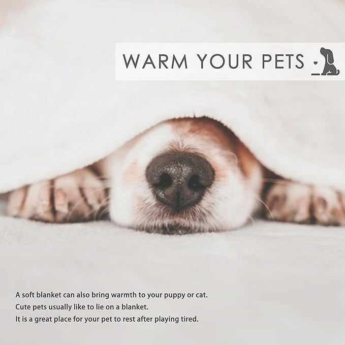 Thuswarm Watercolor Lemon Fruit Print Flannel Throw Blanket Warm Cozy Soft Funny Print Blankets for Bed Couch Sofa Room Decoration Gifts 40”×30” XSmall for Pets