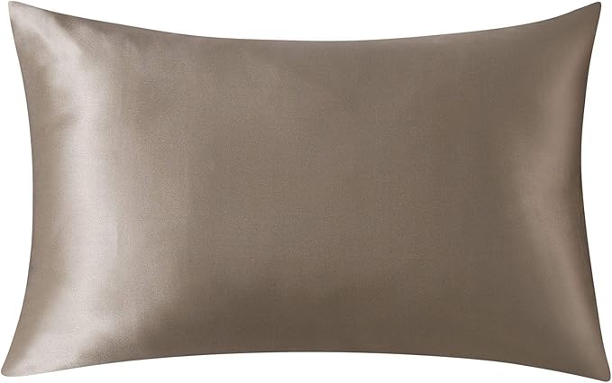 SLPBABY 100% Natural Pure Silk Pillowcase for Hair and Skin, Both Side 19 Momme Silk, Luxury Smooth Satin Pillowcase Cover with Hidden Zipper (Queen, Taupe)