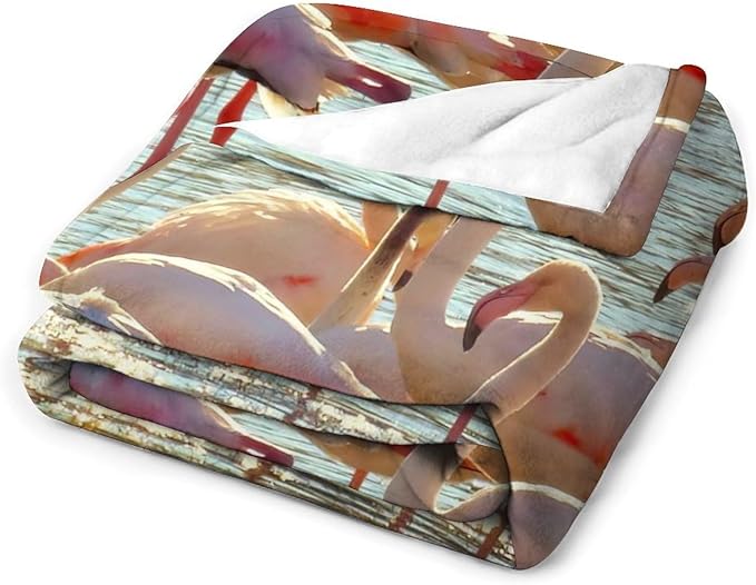 Flamingo Blanket Flamingo Gifts for Girls Boys Woman Kids Lover Ocean Coastal Throw Blankets Soft Blanket Warm Fleece Flannel Plush Blankets for Bed Sofa Couch 50"x60"