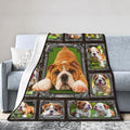 Bulldog Blanket English Bulldog Gifts Throw Blanket Super Soft Flannel Lightweight Fluffy Plush Cozy Fuzzy Fleece Decor Blanket for Dog Lover Girl Woman Boys Kids Adults Man for Bed Sofa 60"X80"