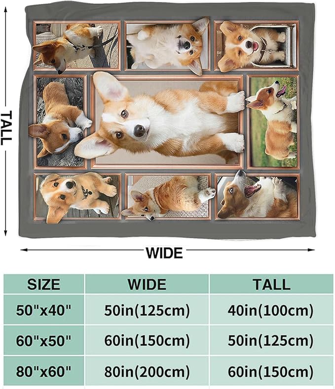 Tijuboni Corgi Throw Blanket Dog Gifts for Girls Boys Women Men Kids Adults Soft Flannel Fleece Blanket for Couch Sofa Bed Home Decor 40"x50"
